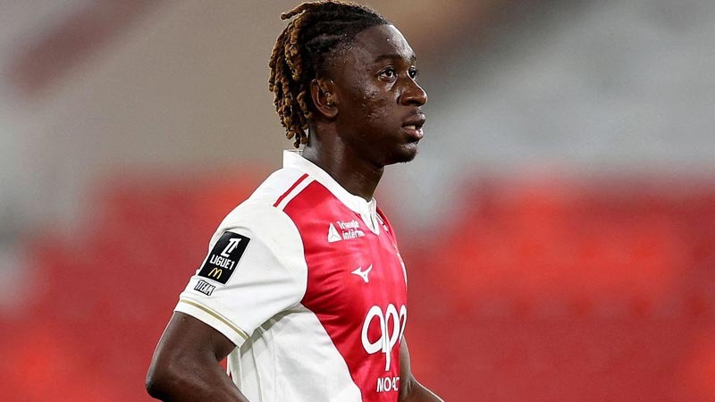 成本也使这 成本也使这